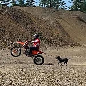 Meet your Posher, Jake